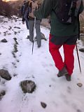 Ruta Sulayr 12-01-2013 22